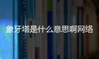 象牙塔是什么意思啊網(wǎng)絡(luò)用語（象牙塔是什么意思啊）