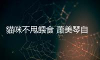 貓咪不甩餵食 蕭美琴自嘲：我們是奴才