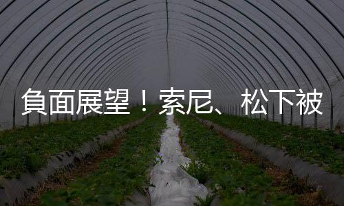 負面展望！索尼、松下被惠譽打入垃圾級｜天下雜誌