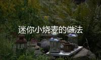 迷你小燒麥的做法