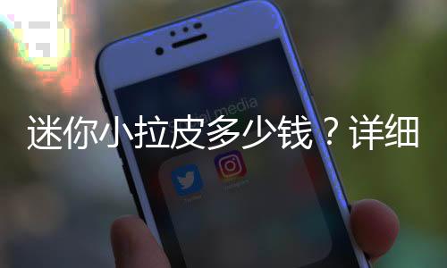 迷你小拉皮多少錢？詳細解析價格影響因素，并附優勢盤點！