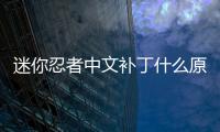 迷你忍者中文補丁什么原因?