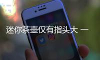 迷你茶壺僅有指頭大 一把竟然標10萬元的“天價”