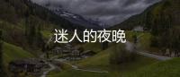 迷人的夜晚