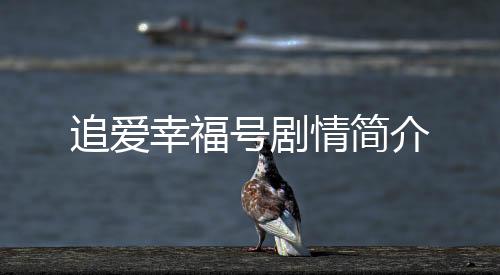 追愛幸福號劇情簡介