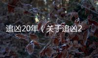 追兇20年（關(guān)于追兇20年的基本情況說明介紹）