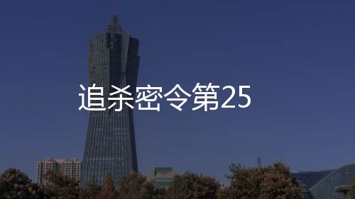 追殺密令第25