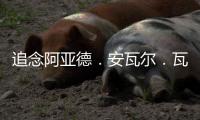 追念阿亞德．安瓦爾．瓦利