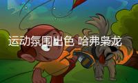 運(yùn)動(dòng)氛圍出色 哈弗梟龍內(nèi)飾諜照曝光