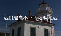 運價居高不下！陽明海運一季度業績創歷史新高