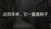 近百年來(lái)，它一直是粽子的最佳代言人，然而它的代言人又是誰(shuí)？（圖）
