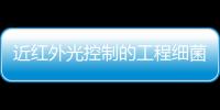 近紅外光控制的工程細(xì)菌用于增強(qiáng)實(shí)體瘤治療效果