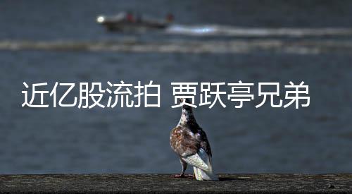 近億股流拍 賈躍亭兄弟樂(lè)視網(wǎng)股票被拍走4410萬(wàn)股