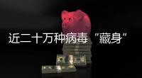 近二十萬種病毒“藏身”海洋 影響全球氣候變化