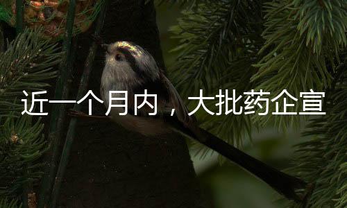 近一個月內,大批藥企宣布已完成上億元融資!