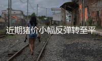 近期豬價小幅反彈轉至平穩震蕩，專家表示豬價已基本觸底，7月或止跌反彈