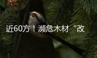 近60方！瀕危木材“改名換姓”過關被查\椴木2000
