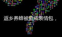 返鄉養蜂被蟄成表情包，他還“決定不走了”，為啥？