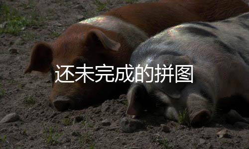 還未完成的拼圖