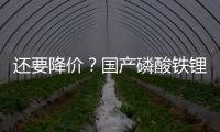 還要降價？國產(chǎn)磷酸鐵鋰版Model 3獲批