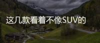 這幾款看著不像SUV的車 還真的是SUV！