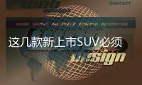 這幾款新上市SUV必須買高配 不然白買