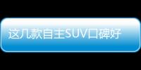 這幾款自主SUV口碑好顏值高 最適合家用