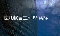 這幾款自主SUV 實(shí)際油耗百公里10L以下