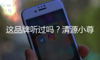 這品牌聽過嗎？清源小尊/尊者上海車展亮相