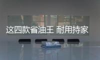 這四款省油王 耐用持家的代表車型