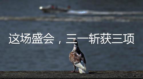 這場盛會，三一斬獲三項大獎！