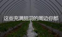 這些充滿腦洞的周邊你都見過嗎？第一個更是離譜 周邊盤點第一期