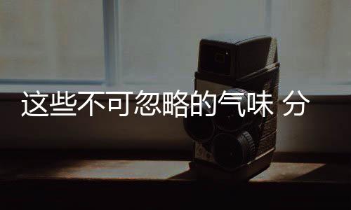 這些不可忽略的氣味 分分鐘讓車進修理廠