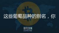 這些葡萄品種的別名，你都知道嗎？