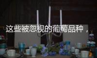 這些被忽視的葡萄品種，你都知道哪些？