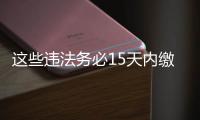 這些違法務(wù)必15天內(nèi)繳納罰款！否則…