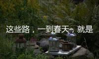 這些路，一到春天，就是花園！