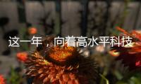 這一年，向著高水平科技自立自強奮進—新聞—科學網