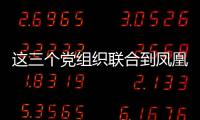 這三個黨組織聯(lián)合到鳳凰烈士陵園緬懷革命先烈（組圖）