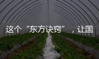這個“東方訣竅”，讓國產(chǎn)VC逆襲國際市場—新聞—科學(xué)網(wǎng)
