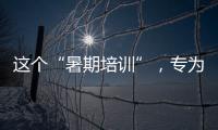 這個“暑期培訓”，專為海外起重機機手打造！