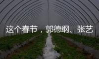 這個春節，郭德綱、張藝興、黃景瑜等明星要為你的年夜飯加道菜