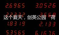 這個夏天，劍英公園“荷”你有約！
