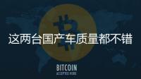 這兩臺國產車質量都不錯 為什么銷量很低？