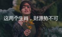 這兩個生肖，財源勢不可擋，財庫大開，真是可喜可賀