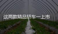 這兩款精品轎車一上市 捷達朗逸都慌了