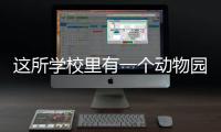 這所學校里有一個動物園 學生化身動物保姆給孔雀“接生”