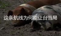 這條航線為何能讓臺當局跳腳？