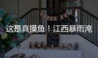 這是真摸魚！江西暴雨淹沒路面，貨車司機下車撈魚