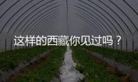 這樣的西藏你見過嗎？
